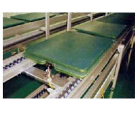 Single/Double-layer pallet